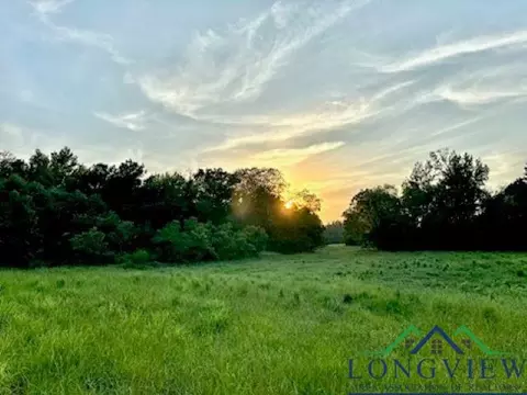 N Fm 1002 East, Winnsboro, TX 75494