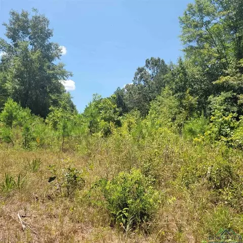 0000 Driskell Bridge Rd, Harleton, TX 75651 photo 6