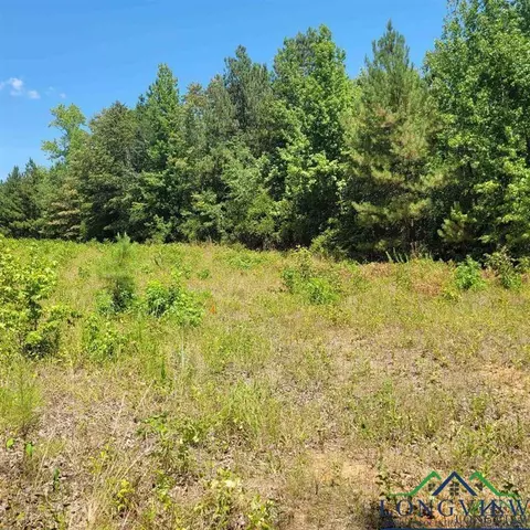 0000 Driskell Bridge Rd, Harleton, TX 75651