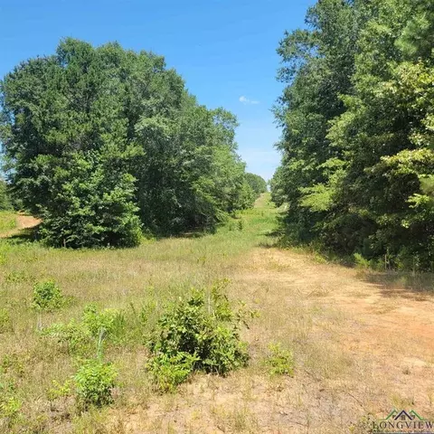 0000 Driskell Bridge Rd, Harleton, TX 75651 photo 5