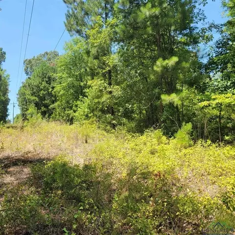 0000 Driskell Bridge Rd, Harleton, TX 75651 photo 3