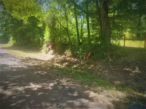 0000 Driskell Bridge Rd, Harleton, TX 75651 photo 9
