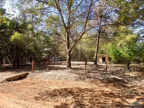 450 Fir Dr, Harleton, TX 75651