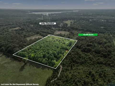 tbd County Road 2208 D, Easton, TX 75603