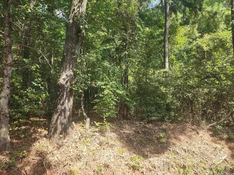 tbd Cr 294 E, Kilgore, TX 75662