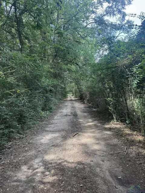 1745 Fm 1252, Kilgore, TX 75662