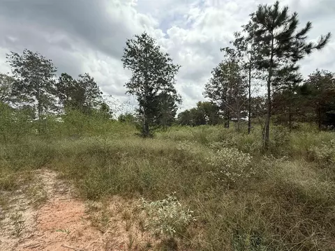 8396 Cr 4201d, Henderson, TX 75654