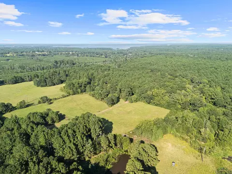 0000 Nash Rd, Harleton, TX 75651 photo 18