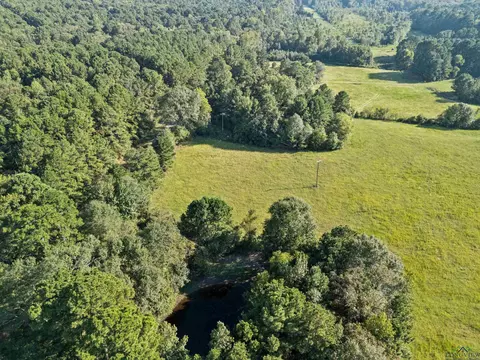 0000 Nash Rd, Harleton, TX 75651 photo 28