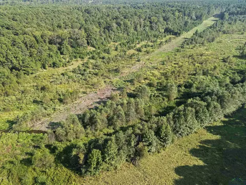 0000 Nash Rd, Harleton, TX 75651 photo 10