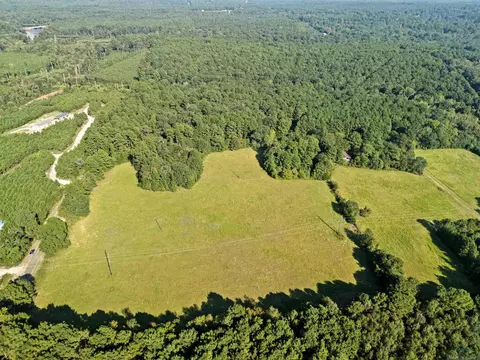 0000 Nash Rd, Harleton, TX 75651 photo 5