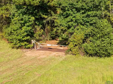 0000 Nash Rd, Harleton, TX 75651 photo 20