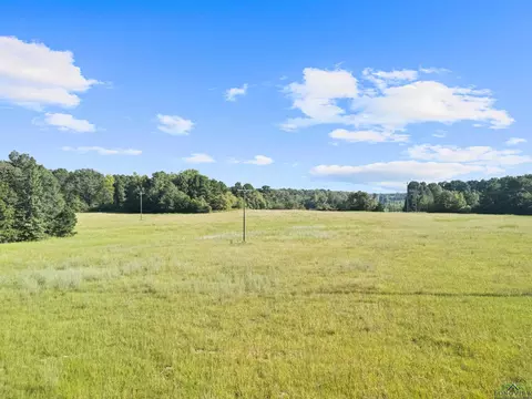0000 Nash Rd, Harleton, TX 75651 photo 24