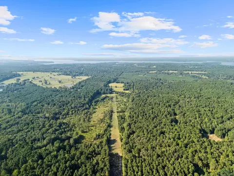 0000 Nash Rd, Harleton, TX 75651 photo 15