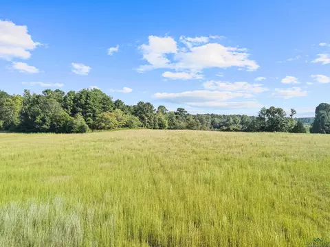 0000 Nash Rd, Harleton, TX 75651 photo 25