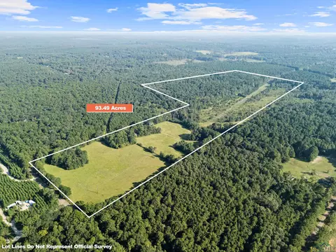 0000 Nash Rd, Harleton, TX 75651 photo 2