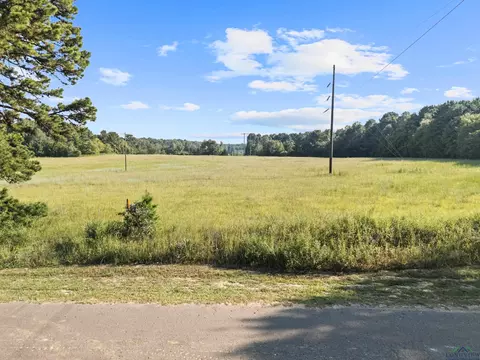 0000 Nash Rd, Harleton, TX 75651 photo 29