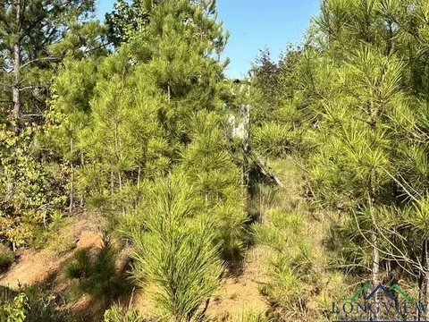 tbd County Road 3216, Laneville, TX 75670