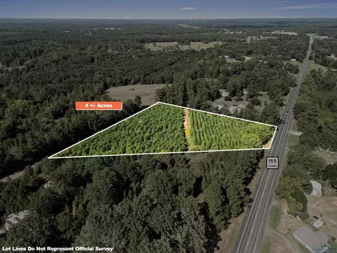 tbd Hwy 155 S, Gilmer, TX 75644