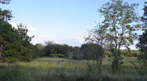 6539 S County Road 401, Henderson, TX 75652