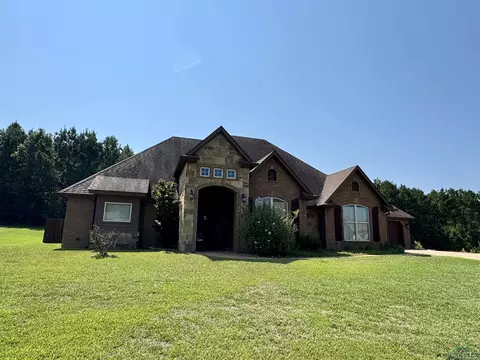 136 Bralan Dr, Diana, TX 75640