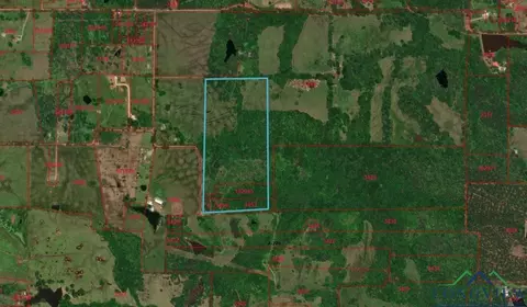 tbd Cr 1663, Mount Pleasant, TX 75455 photo 4