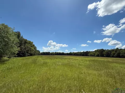 tbd Cr 1670, Mount Pleasant, TX 75455