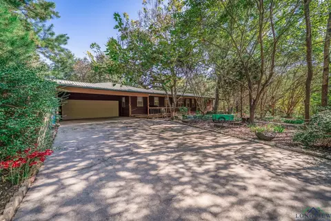 13731 Shamrock Rd, Diana, TX 75640