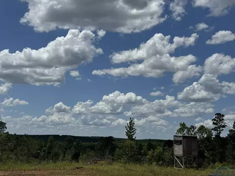 tbd Cr 1606, Linden, TX 75563
