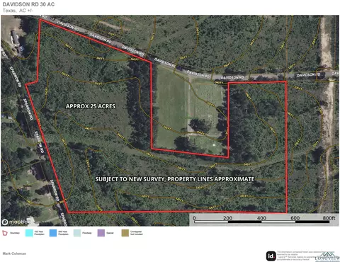 25 Ac Davidson Rd, Diana, TX 75601