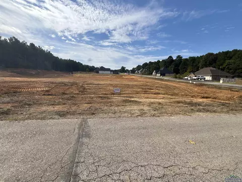 tbd Lot 28 Emma, Diana, TX 75640
