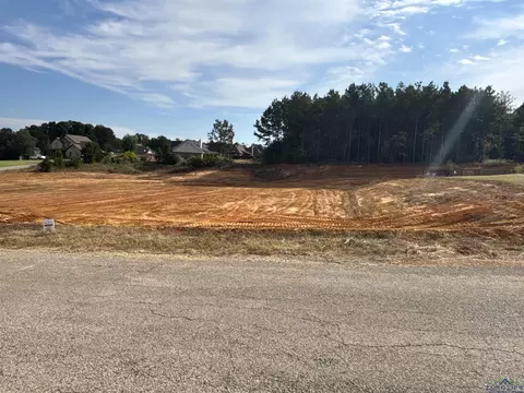 tbd Lot 29 Emma, Diana, TX 75640