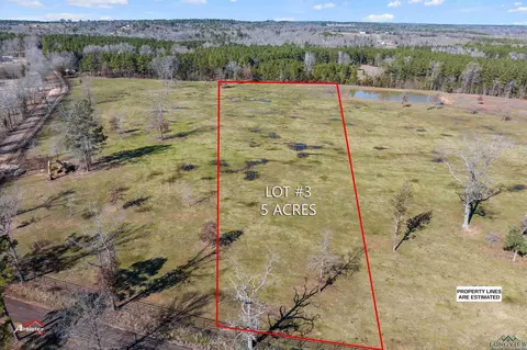 lot3 Tbd Cr 379, Henderson, TX 75654