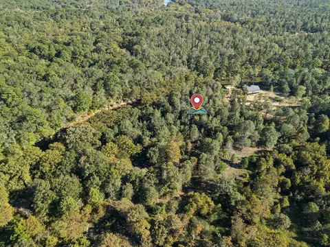 2500 Pr 7200 Lot #1, Jefferson, TX 75657
