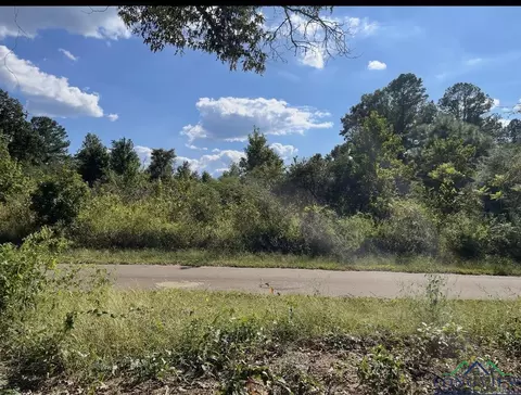 lot8 Cr 4173d, Laneville, TX 75667