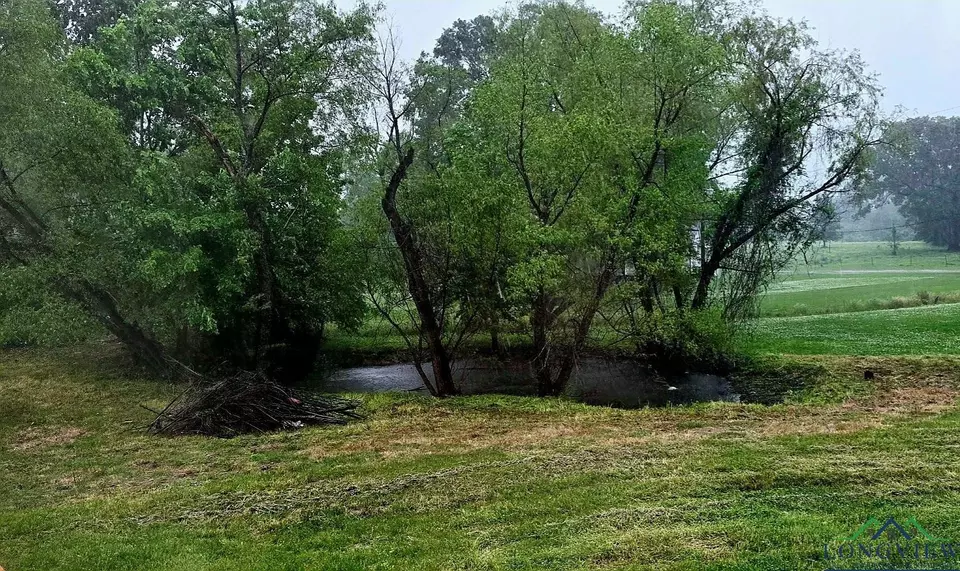 Other - 1320 Cr 3110, De Kalb, TX 75559 photo 4 of 4