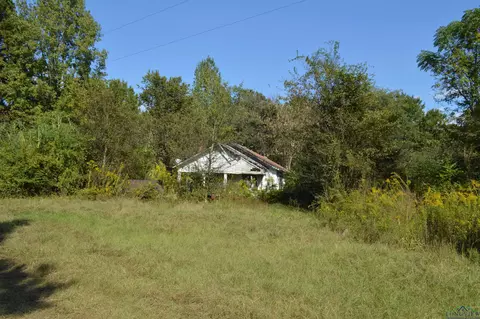 1390 Shady Grove Rd, Jefferson, TX 75657