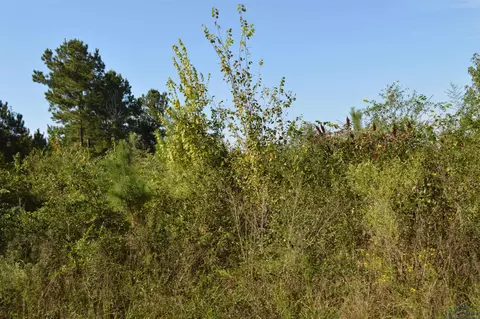 tbd Lassater Rd, Jefferson, TX 75657