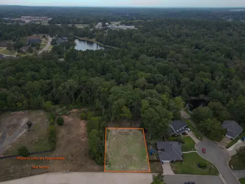 1005 Windy Ridge Dr, Longview, TX 75604 photo 4