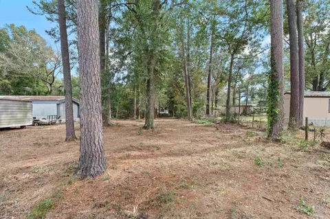 385 County Rd 191, Gary City, TX 75643 photo 11