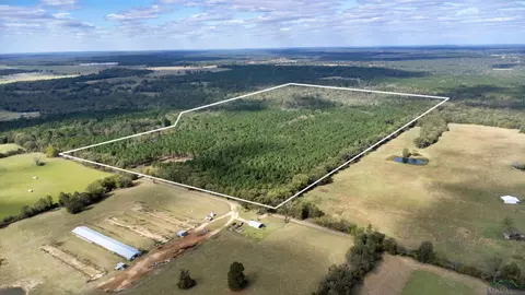 tbd N Wolf Rd, Pittsburg, TX 75686