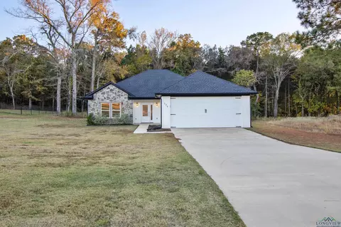 175 Heartland Trl, Diana, TX 75640