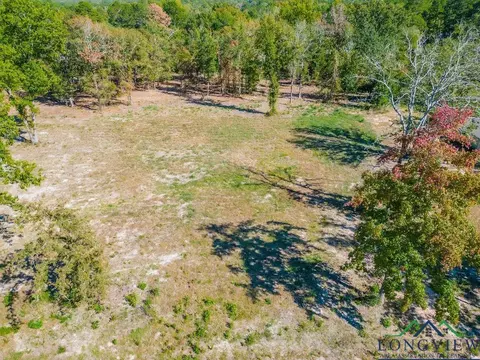 208 Angus Rd, Big Sandy, TX 75755