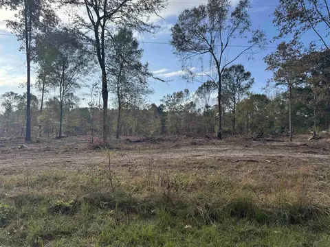 lot1 Tbd Cr 4108, Henderson, TX 75652