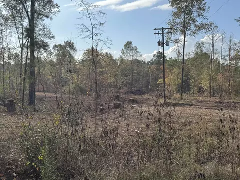 lot2 Tbd Cr 4108, Henderson, TX 75654