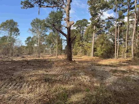 lot3 Tbd Cr 4108, Henderson, TX 75654