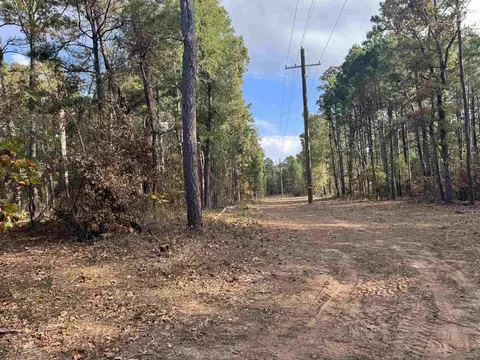 lot6 Tbd Cr 4111, Henderson, TX 75654