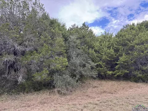 41077 Heartwood Cir, Out Of Area, TX 76692