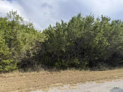 39019 Quail Run Rd, Out Of Area, TX 76692
