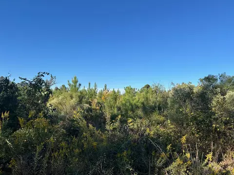000 Cooper Rd, Marshall, TX 75672 photo 2